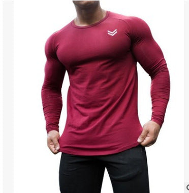 Men Sportswear Long Sleeve Fitness Training T Shirt